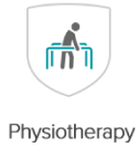icon-04-physiotherapy